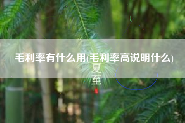 毛利率有什么用(毛利率高说明什么)