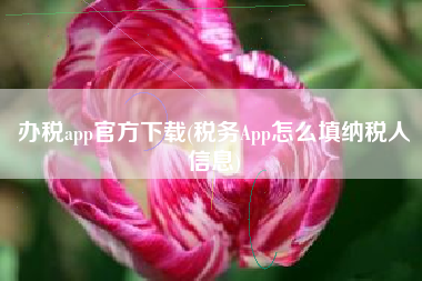 办税app官方下载(税务App怎么填纳税人信息)