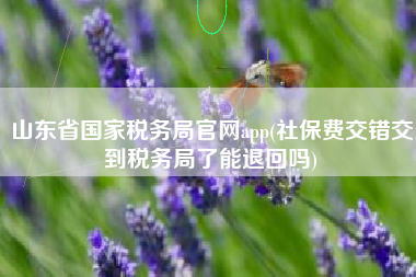 山东省国家税务局官网app(社保费交错交到税务局了能退回吗)