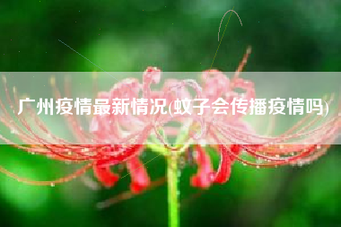 广州疫情最新情况(蚊子会传播疫情吗)