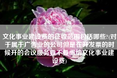 文化事业建设费的征收范围包括哪些?(对于属于广告业的公司但是在开发票的时候开的会议服务要不要缴纳文化事业建设费)