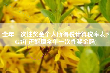 全年一次性奖金个人所得税计算税率表(2023年还能填全年一次性奖金吗)
