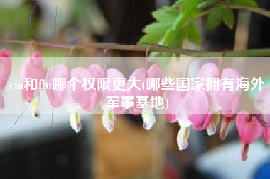 cia和fbi哪个权限更大(哪些国家拥有海外军事基地)