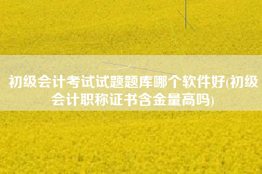 初级会计考试试题题库哪个软件好(初级会计职称证书含金量高吗)