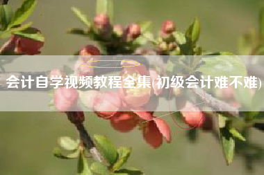 详细阅读:会计自学视频教程全集(初级会计难不难) 会计自学视频教程全集(初级会计难不难)