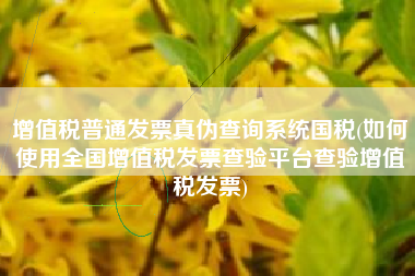 详细阅读:增值税普通发票真伪查询系统国税(如何使用全国增值税发票查验平台查验增值税发票) 增值税普通发票真伪查询系统国税(如何使用全国增值税发票查验平台查验增值税发票)