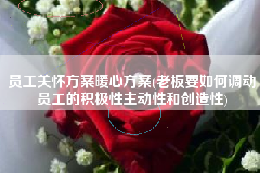 员工关怀方案暖心方案(老板要如何调动员工的积极性主动性和创造性)