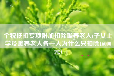 个税抵扣专项附加扣除赡养老人(子女上学及赡养老人各一人为什么只扣除16000元)