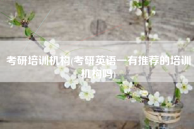 考研培训机构(考研英语一有推荐的培训机构吗)