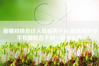 新疆初级会计人员服务平台(新疆舞初学手和脚配合不到一起怎么办)