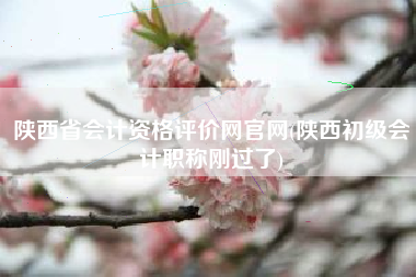 陕西省会计资格评价网官网(陕西初级会计职称刚过了)