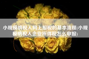 小规模纳税人网上报税的基本流程(小规模纳税人企业所得税怎么申报)