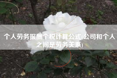 个人劳务报酬个税计算公式(公司和个人之间是劳务关系)