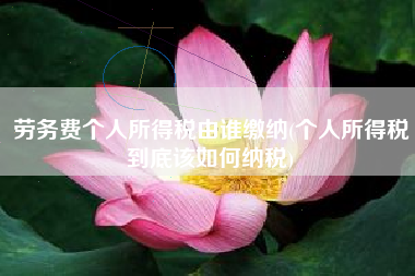 劳务费个人所得税由谁缴纳(个人所得税到底该如何纳税)
