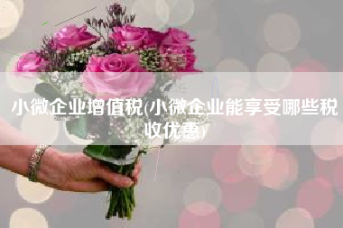 小微企业增值税(小微企业能享受哪些税收优惠)