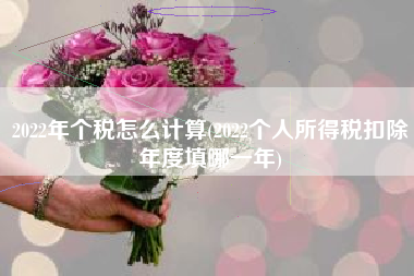 2022年个税怎么计算(2022个人所得税扣除年度填哪一年)