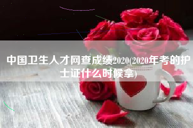 中国卫生人才网查成绩2020(2020年考的护士证什么时候拿)