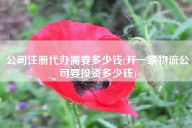 公司注册代办需要多少钱(开一家物流公司要投资多少钱)