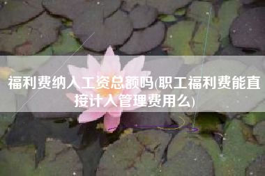 福利费纳入工资总额吗(职工福利费能直接计入管理费用么)