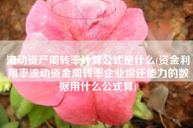 流动资产周转率计算公式是什么(资金利用率流动资金周转率企业偿还能力的数据用什么公式算)