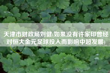 天津市财政局刘健(如果没有许家印曾经对恒大金元足球投入而影响中超发展)