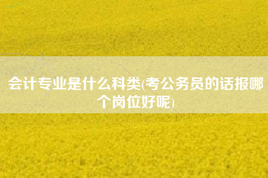 会计专业是什么科类(考公务员的话报哪个岗位好呢)