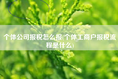 详细阅读:个体公司报税怎么报(个体工商户报税流程是什么) 个体公司报税怎么报(个体工商户报税流程是什么)
