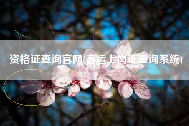 详细阅读:资格证查询官网(客运上岗证查询系统) 资格证查询官网(客运上岗证查询系统)