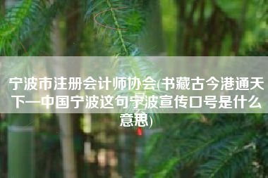 宁波市注册会计师协会(书藏古今港通天下—中国宁波这句宁波宣传口号是什么意思)