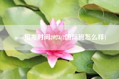 acca报考时间2023(2国际班怎么样)
