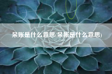 呆账是什么意思(呆帐是什么意思)