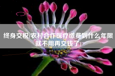 终身交税(农村合作医疗缴费到什么年限就不用再交钱了)