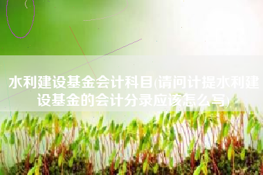 水利建设基金会计科目(请问计提水利建设基金的会计分录应该怎么写)