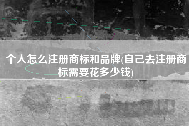 个人怎么注册商标和品牌(自己去注册商标需要花多少钱)