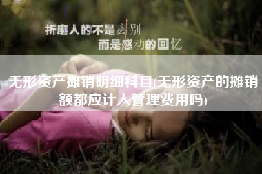 无形资产摊销明细科目(无形资产的摊销额都应计入管理费用吗)