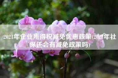 2021年企业所得税减免优惠政策(2021年社保还会有减免政策吗)