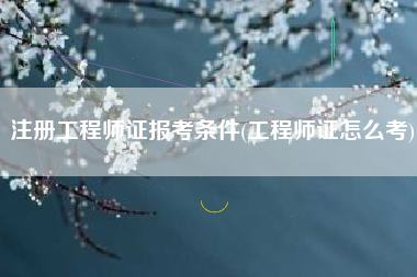 注册工程师证报考条件(工程师证怎么考)