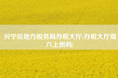 兴宁区地方税务局办税大厅(办税大厅周六上班吗)