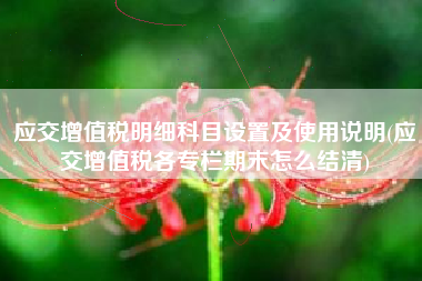 应交增值税明细科目设置及使用说明(应交增值税各专栏期末怎么结清)