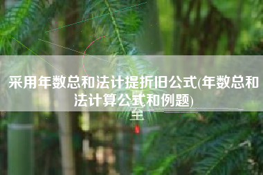 采用年数总和法计提折旧公式(年数总和法计算公式和例题)