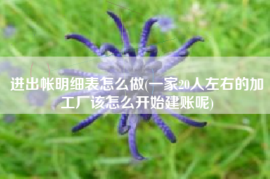 进出帐明细表怎么做(一家20人左右的加工厂该怎么开始建账呢)