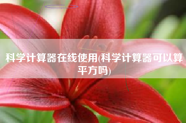 详细阅读:科学计算器在线使用(科学计算器可以算平方吗) 科学计算器在线使用(科学计算器可以算平方吗)