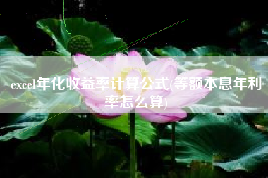 详细阅读:excel年化收益率计算公式(等额本息年利率怎么算) excel年化收益率计算公式(等额本息年利率怎么算)