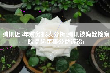 详细阅读:腾讯近5年财务报表分析(腾讯被海淀检察院提起民事公益诉讼) 腾讯近5年财务报表分析(腾讯被海淀检察院提起民事公益诉讼)