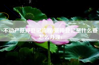 不动产抵押登记流程(抵押登记是什么要怎么办理)