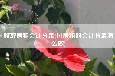 收取房租会计分录(付房租的会计分录怎么做)