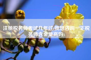 注册税务师考试几年过(我想咨询一下税务师含金量高吗)