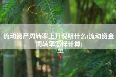 流动资产周转率上升说明什么(流动资金周转率怎样计算)