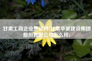 甘肃工商企业登记网(甘肃华夏建设集团股份有限公司怎么样)