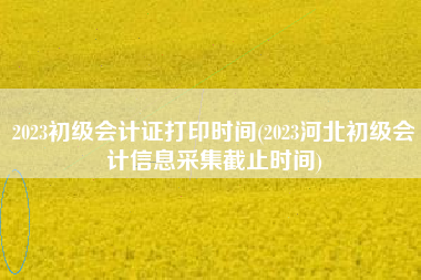 2023初级会计证打印时间(2023河北初级会计信息采集截止时间)
